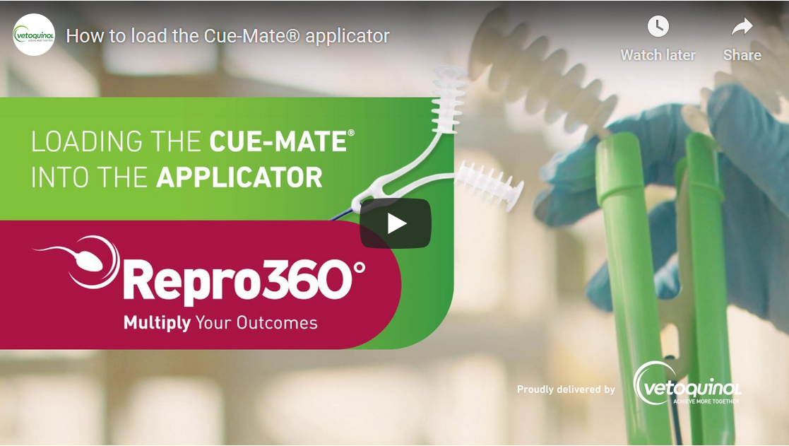 Loading The Cue Mate Into The Applicator Repro360